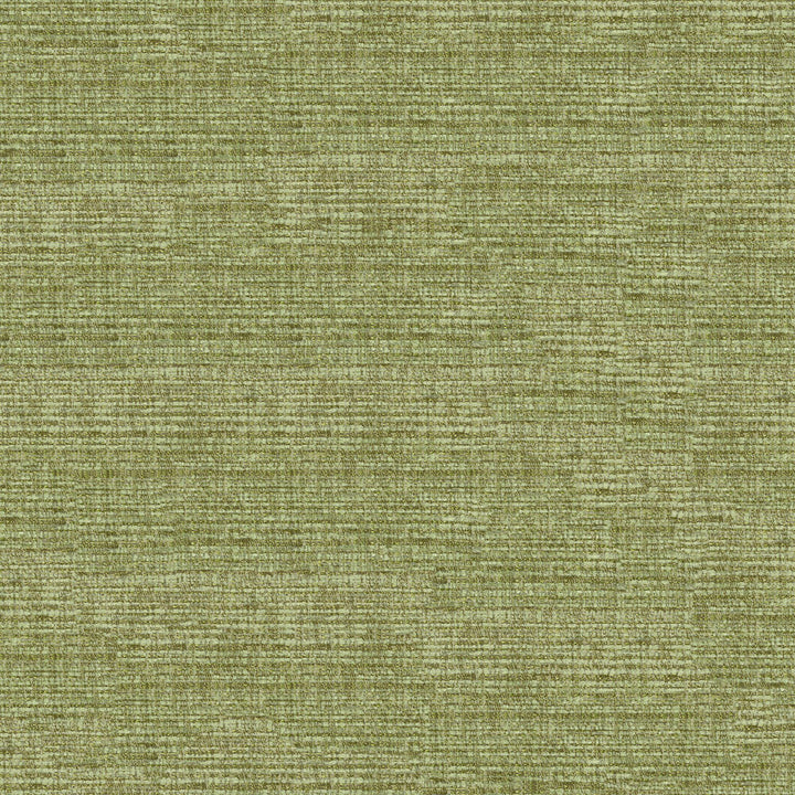 Thomas 202 Absinthe by ABBEYSHEA Fabric 100% Polyester China 80,000 Double Rubs (Wyzenbeek) </p><p>Repeat: Horizontal: and Vertical: 57" (144 cm) - Fabric Carolina -
