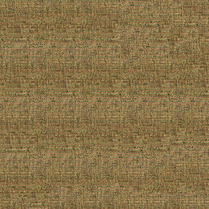 Thomas 405 Pumpkin Spice by ABBEYSHEA Fabric
