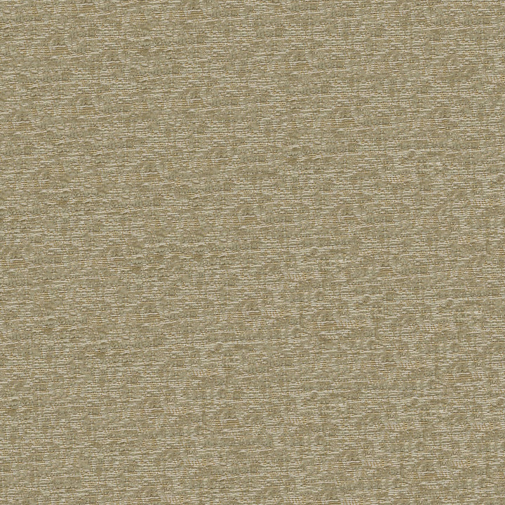 Thomas 6003 Oatmeal by ABBEYSHEA Fabric N/A 100% Polyester China 12,000 Double Rubs </p><p>Repeat: Horizontal: 3.5" (9.0 cm) Across the Roll and Vertical: 4.5" (11.5 cm) Up the Roll 55" (140 cm) - Fabric Carolina -