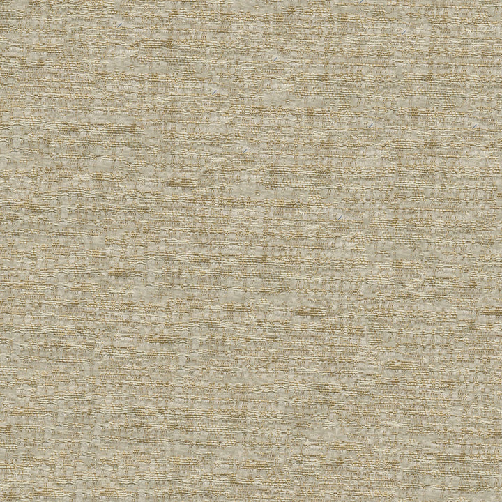 Thomas 6004 Buff by ABBEYSHEA Fabric N/A 100% Polyester China 12,000 Double Rubs </p><p>Repeat: Horizontal: 3.5" (9.0 cm) Across the Roll and Vertical: 4.5" (11.5 cm) Up the Roll 55" (140 cm) - Fabric Carolina -