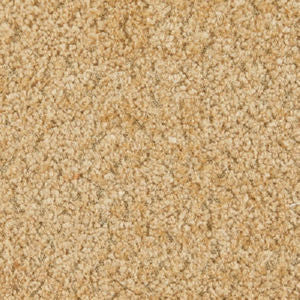 Jericho Teddy by Norbar Designer Fabric LISBON 100% POLYESTER CHINA 54 - Swanky Fabrics -