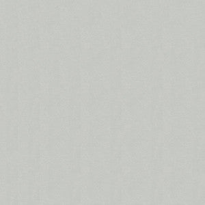 Jet Stream 016 Lone Star Silver by Ship to Shore Fabric