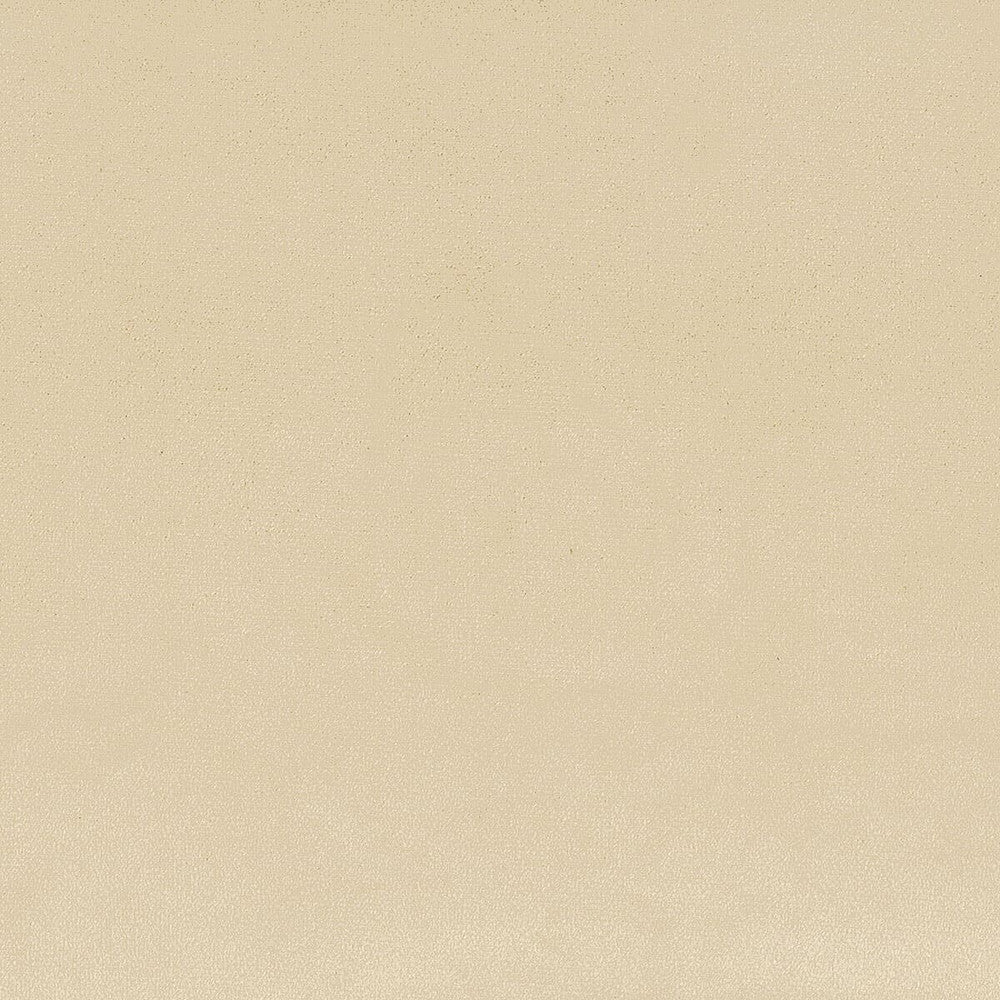 Jitter 1 Khaki by Stout Fabric COMFORTABLE LIVING IVORY/SAND 100%POL CHINA FLAME RETARDANT-U.F.A.C. CLASS 1 CATB 117-2013 WYZENBEEK 50 000 DOUBLE RUB WEAR TEST (HEAVY DUTY) Horizontal: 0 and Vertical: 0 57 in - Fabric Carolina -
