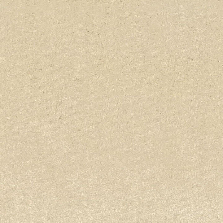 Jitter 1 Khaki by Stout Fabric COMFORTABLE LIVING IVORY/SAND 100%POL CHINA FLAME RETARDANT-U.F.A.C. CLASS 1 CATB 117-2013 WYZENBEEK 50 000 DOUBLE RUB WEAR TEST (HEAVY DUTY) Horizontal: 0 and Vertical: 0 57 in - Fabric Carolina -