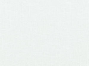 Jive Optic White 143 by Norbar Fabric JIVE 55% LINEN 45% VISCOSE CHINA 54 - Fabric Carolina -
