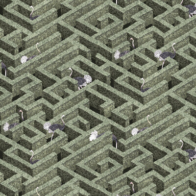 JMW1010.01.0 by Kravet Wallcovering Kravet Wallcovering JMW1010.01.0Wallcovering JOSEPHINE MUNSEY PORTFOLIO I CELLULOSE - 48.6%;BINDER - 18.2%;MINERAL FILLERS - 16.9%;POLYESTER - 16%;OTHER - .3% United Kingdom </p><p>Repeat: H: 20.5, V: 26.6 20.5 - Fabric Carolina -
