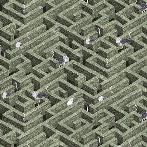 Labyrinth With Ostriches 1 by Kravet Wallcovering