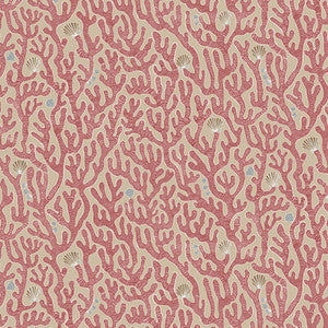 Coral 1 by Kravet Wallcovering