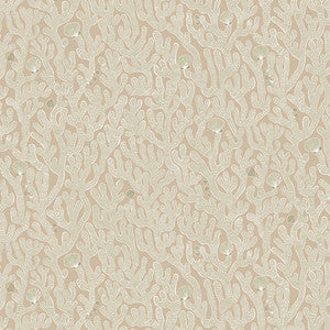 Coral 11 by Kravet Wallcovering