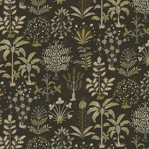 Cynthia Wp 31 by Kravet Wallcovering
