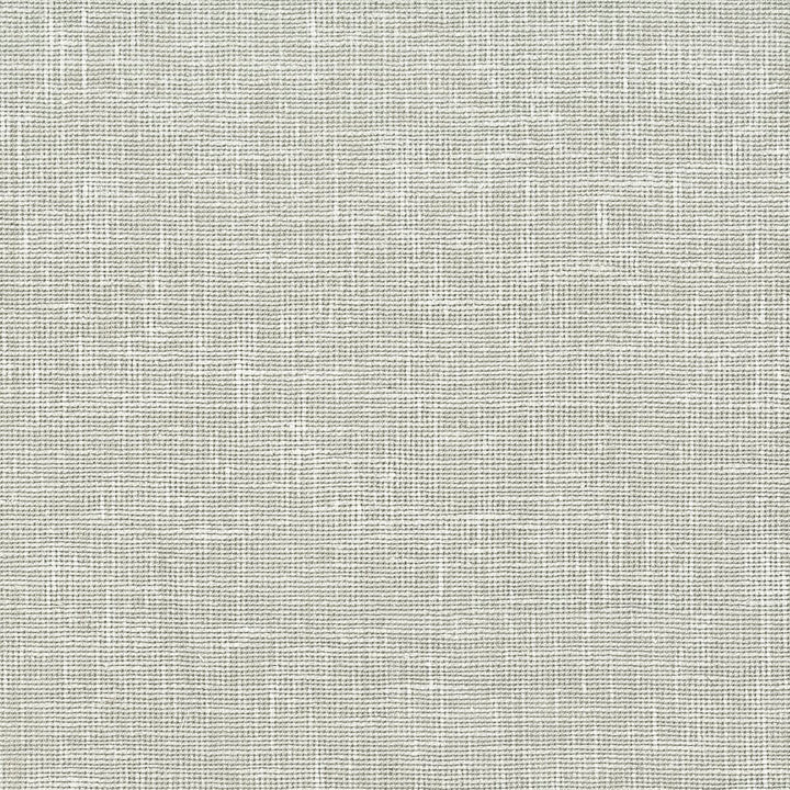 Jonah 3 Flint by Stout Fabric COLOR MY WINDOW GREY/CINDER 81%POL 19%COT INDIA Horizontal: 0 and Vertical: 0 54 in - Fabric Carolina -