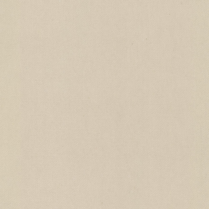 Jostle 5 Biscuit by Stout Fabric Stout Fabric Jostle 5 BiscuitFabric SOLID VELVETS PLUSH PALETTE 75%POL 25%COT CHINA </p><p>Repeat: H: 0.000, V: 0.000 54 in - Fabric Carolina -