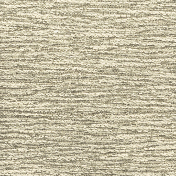 Joyride 6 Acorn by Stout Fabric PUT IT IN NEUTRAL 77%POL 23%COT TAIWAN Horizontal: 0.000 and Vertical: 0.000 54 in - Fabric Carolina -