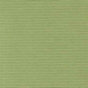 Joy Citron by Norbar Fabric