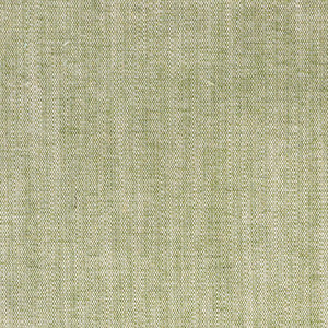 Judson 6 Basil by Stout Fabric