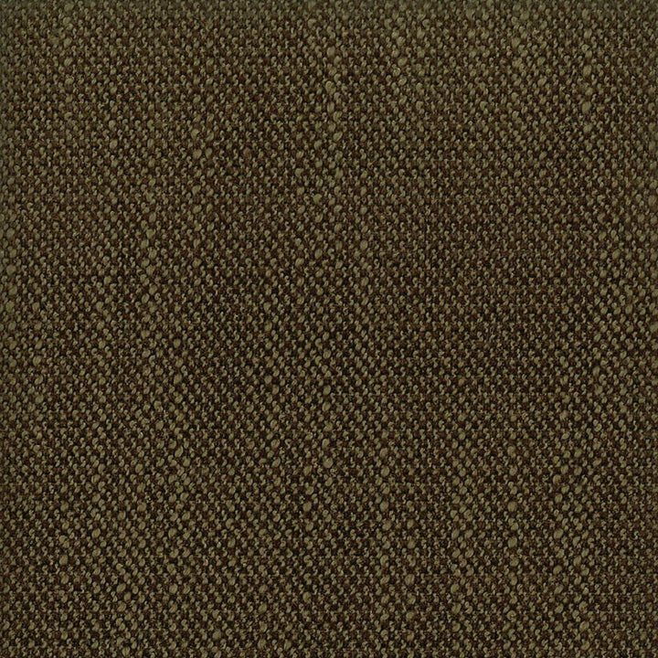 Juicy 14 Espresso by Stout Fabric Paint Palette 100% Polyester CHINA FLAME RETARDANT-CA BULLETIN 117-SECTION E FLAME RETARDANT-U.F.A.C. CLASS 1 (OR A) WYZENBEEK 50 000 DOUBLE RUB WEAR TEST (HEAVY DUTY) Horizontal: 0 and Vertical: 0 56 in - Fabric Carolina -