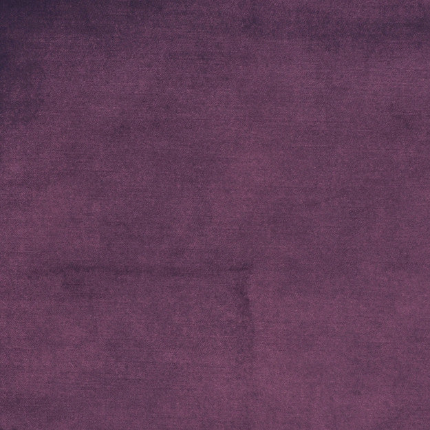 JUNO 59J5091 by JF Fabric JUNO 100% Polyester BELGIUM ABRASIO (HEAVY DUTY- 30,000+ DOUBLE RUBS) Horizontal: N/A and Vertical: N/A 54.00 - Fabric Carolina -