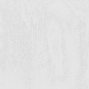 Jupiter Winter White by Norbar Fabric SHEER IMAGE 100% POLYESTER TURKEY 130 - Fabric Carolina -
