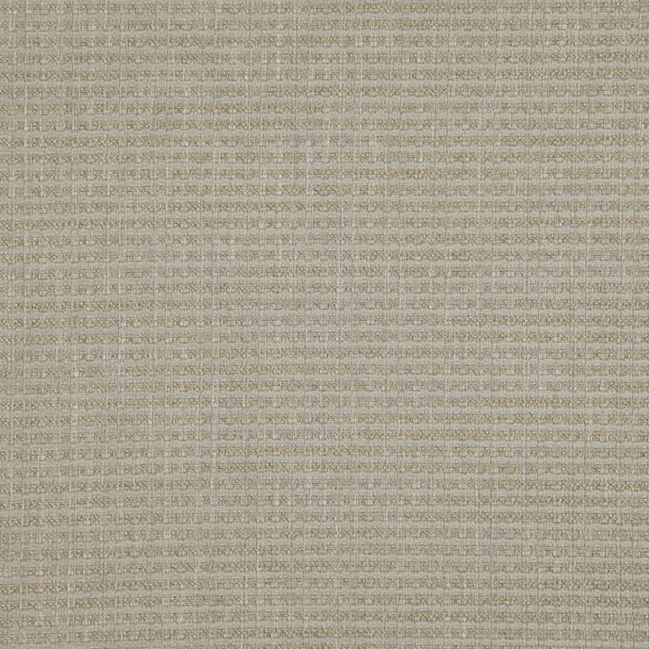 Jury 93J8321 by JF Fabric Justice Fibrguard 63% Polyester, 35% Acrylic, 2% Viscose Turkey 30000 Horizontal: and Vertical: 56 - Fabric Carolina -