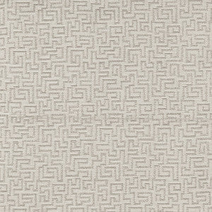Kinship # 23 Papyrus by Maxwell Fabric
