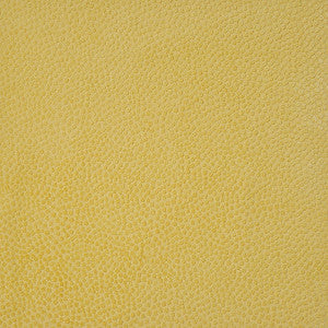 Kernel # 311 Sun by Maxwell Fabric