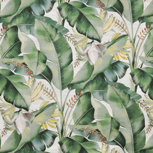 Kona # 521 Aloe by Maxwell Fabric