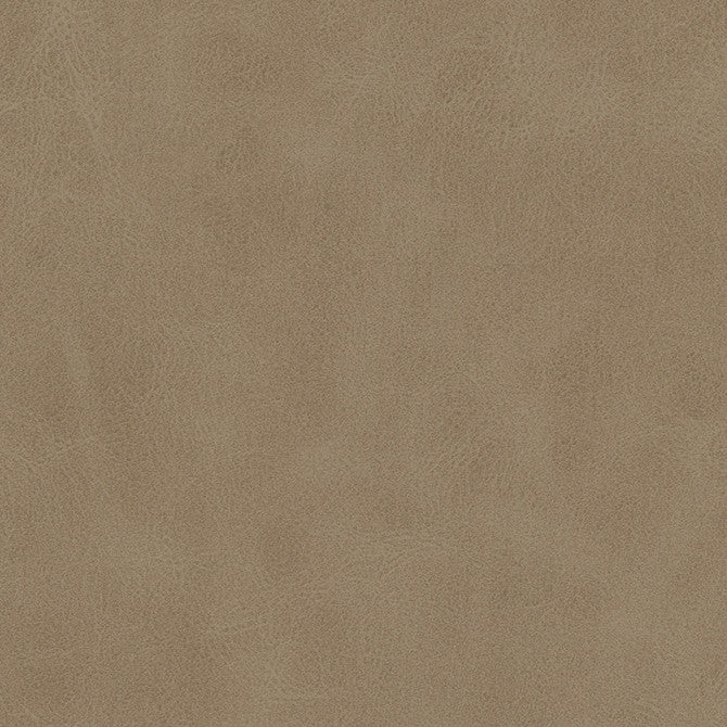 Kiki-Nj # 827 Shiitake by Maxwell Fabric Memos Only-Coated Fabrics FACE: 100% SILICONE BASE: 100% POLYURETHANE (POLYCARBONATE) BACKING: 100% POLYESTER KOREA 54" - Fabric Carolina -