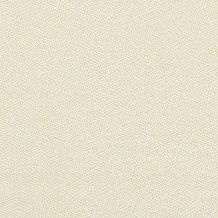 Komodo # 731 Pearl by Maxwell Fabric Easy Rider Viii FACE: 100% PVC
BACKING: 100% POLYESTER KOREA 54" - Fabric Carolina -
