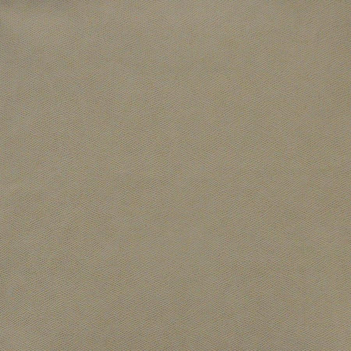 Komodo # 765 Taupe by Maxwell Fabric Easy Rider Viii FACE: 100% PVC
BACKING: 100% POLYESTER KOREA 54" - Fabric Carolina -