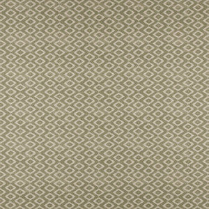 Kodi # 508 Fern by Maxwell Fabric