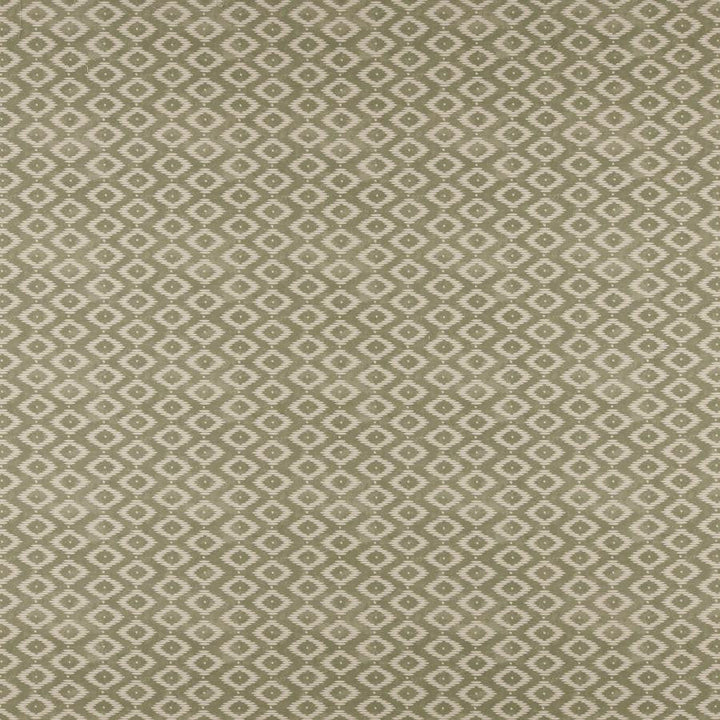 Kodi # 508 Fern by Maxwell Designer Fabric Print Gallery Iii 85% COTTON
15% LINEN SPAIN V-6.9" H-3.9" 55" - Swanky Fabrics -