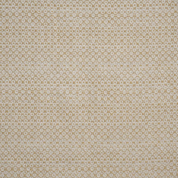 Kitsilano # 710 Gilt by Maxwell Fabric Performance Wovens-Vol. Vii Gold Rush 43% VISCOSE
26% COTTON
23% LINEN
  8% POLYESTER TURKEY V-6.8" H-7" 54" - Fabric Carolina -