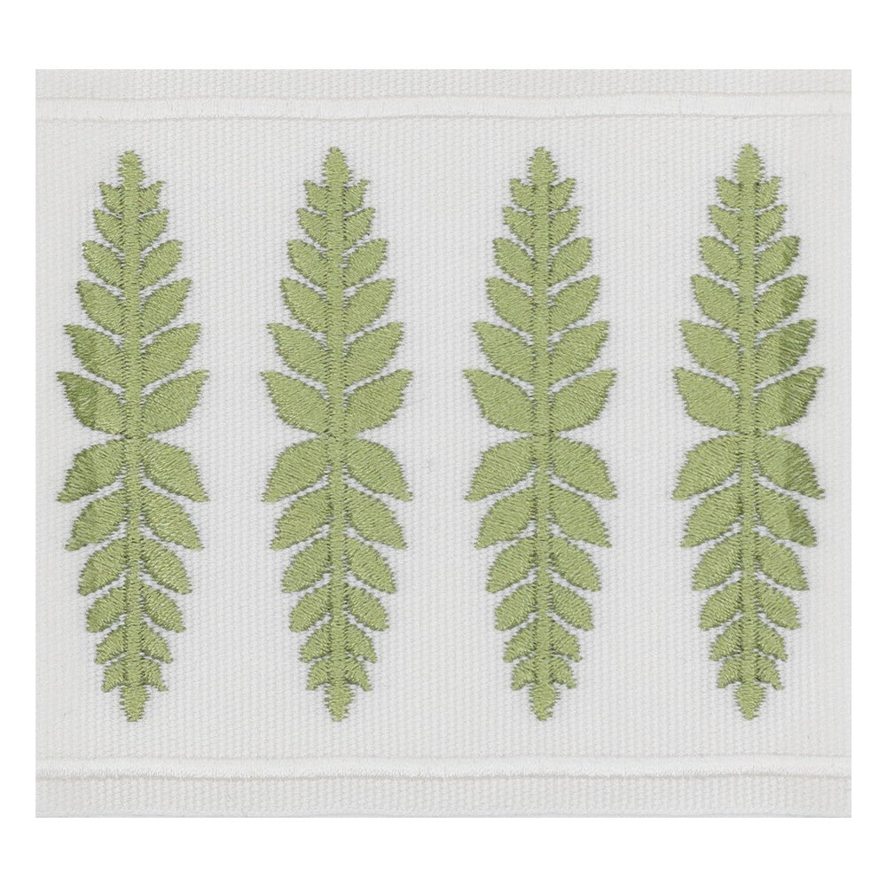 Kailua Tape 3 Moss by Stout Trim SMALL WONDERS TRIM 100%POL CHINA Horizontal: 1.000 and Vertical: 0.000 3.5 in - Fabric Carolina -