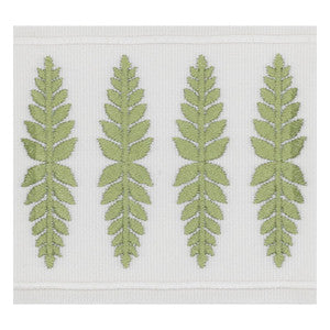 Kailua Tape 3 Moss by Stout Trim