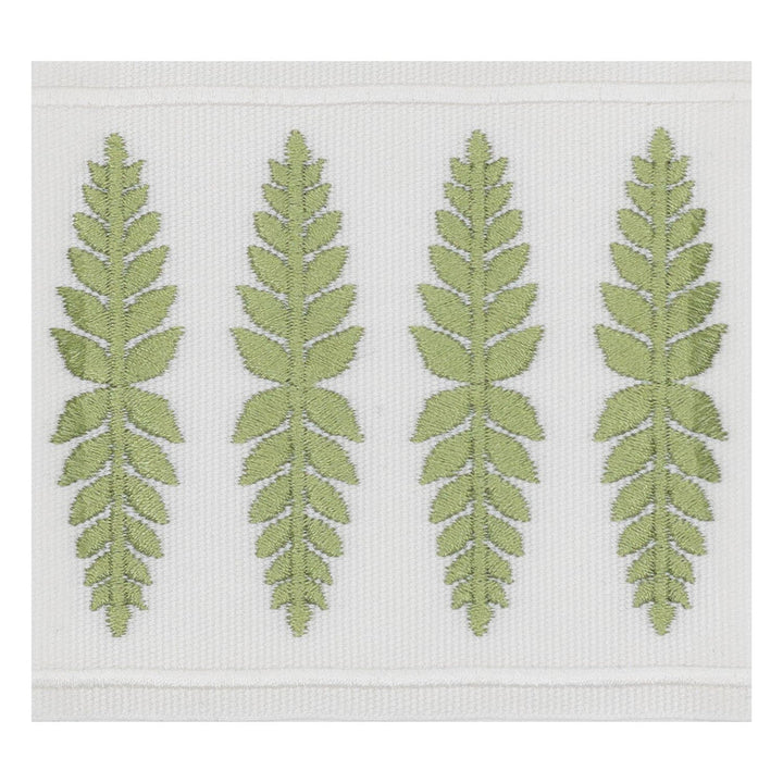 Kailua Tape 3 Moss by Stout Designer Trim SMALL WONDERS TRIM 100%POL CHINA Horizontal: 1.000 and Vertical: 0.000 3.5 in - Swanky Fabrics -