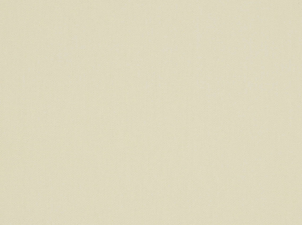 Kanvastex Cream 141 by Covington Fabric our website for purchase 100% Cotton United States 50000 Horizontal: 0" and Vertical: 0" 58" - Fabric Carolina -