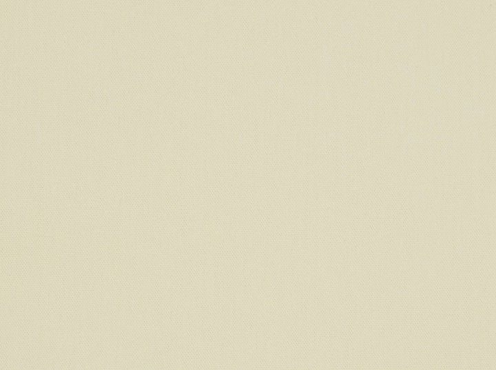 Kanvastex Cream 141 by Covington Fabric our website for purchase 100% Cotton United States 50000 Horizontal: 0" and Vertical: 0" 58" - Fabric Carolina -
