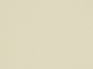 Kanvastex Cream 141 by Covington Fabric