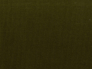 Kanvastex Olive 22 by Covington Fabric