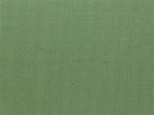 Kanvastex Seafoam 25 by Covington Fabric
