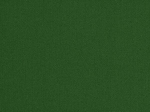 Kanvastex 290 Classic Green by Covington Fabric