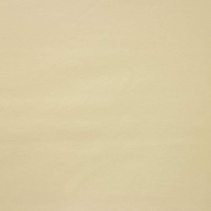 Kaston-116 by Kravet Design Fabric - POLYURETHANE - 55%;POLYESTER - 45% Korea, Republic of HEAVY Horizontal: 0 and Vertical: 0 54 - Fabric Carolina -
