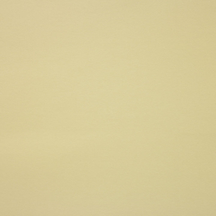 Kaston-1616 by Kravet Design Fabric - POLYURETHANE - 55%;POLYESTER - 45% Korea, Republic of HEAVY Horizontal: 0 and Vertical: 0 54 - Fabric Carolina -