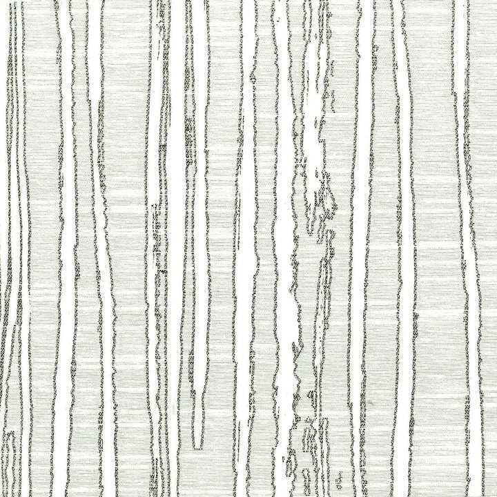 Katydid 1 Graphite by Stout Fabric Color My Window Grey/Cinder 58% Cotton 42% Polyester INDIA CATB 117-2013 WYZENBEEK 51 000 DOUBLE RUB WEAR TEST (HEAVY DUTY) Horizontal: 9.125 and Vertical: 10.25 54 in - Fabric Carolina -