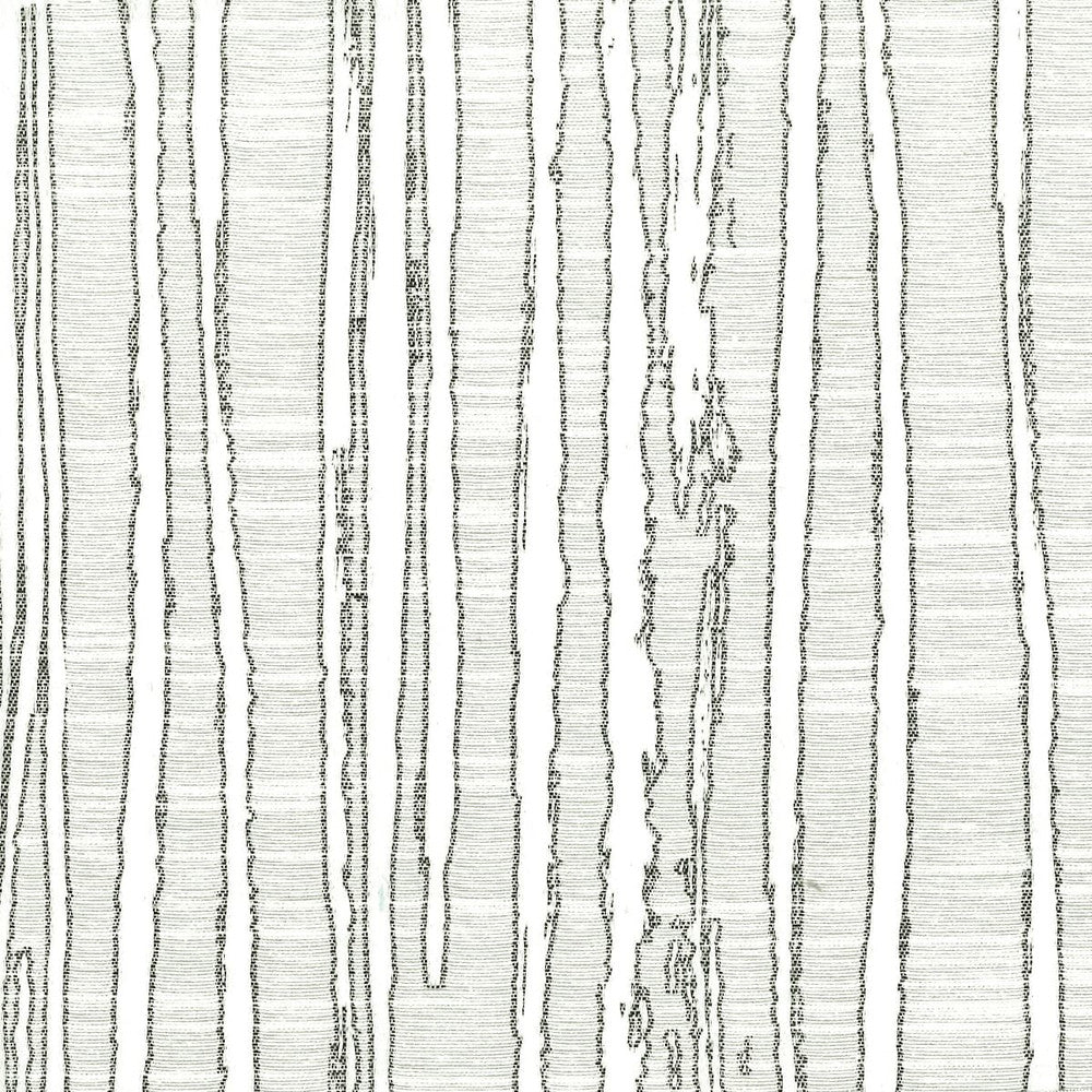 Katydid 1 Graphite by Stout Fabric COLOR MY WINDOW GREY/CINDER 58%COT 42%POL INDIA CATB 117-2013 WYZENBEEK 51 000 DOUBLE RUB WEAR TEST (HEAVY DUTY) Horizontal: 9.125 and Vertical: 10.25 54 in - Fabric Carolina -