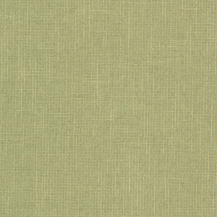 Keegan 1 Pistachio by Stout Fabric Stout Fabric Keegan 1 PistachioFabric Comfortable Living Sage/Moss 62%Pol 32%Cot 6%Svi India </p><p>Repeat: H: 0, V: 0 54 in - Fabric Carolina -