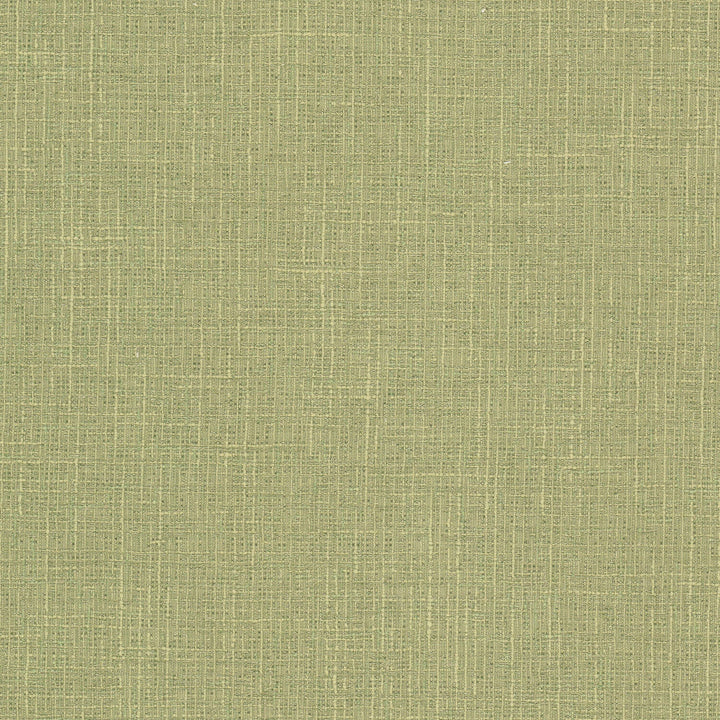 Keegan 1 Pistachio by Stout Fabric Stout Fabric Keegan 1 PistachioFabric COMFORTABLE LIVING SAGE/MOSS 62%POL 32%COT 6%SVI INDIA </p><p>Repeat: H: 0.000, V: 0.000 54 in - Fabric Carolina -