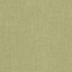 Keegan 1 Pistachio by Stout Fabric