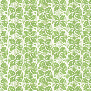 Keylargo 2 Grass by Aoc Fabric