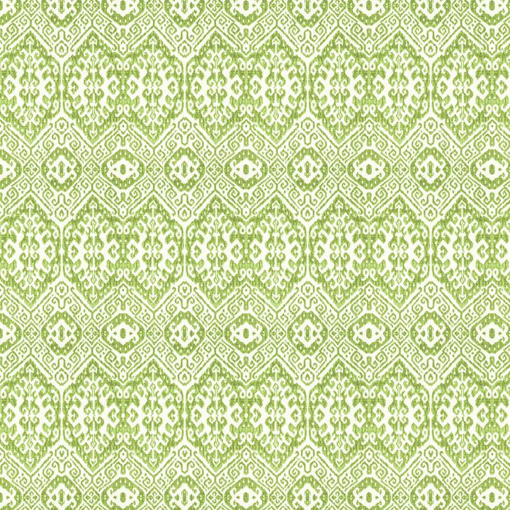 Keywest 1 Dill by Stout Fabric COMFORTABLE LIVING ALOE/FERN 100%COT INDIA FLAME RETARDANT-U.F.A.C. CLASS 1 CATB 117-2013 WYZENBEEK 9 000 DOUBLE RUB WEAR TEST (MEDIUM DUTY) Horizontal: 9 and Vertical: 12 56 in - Fabric Carolina -